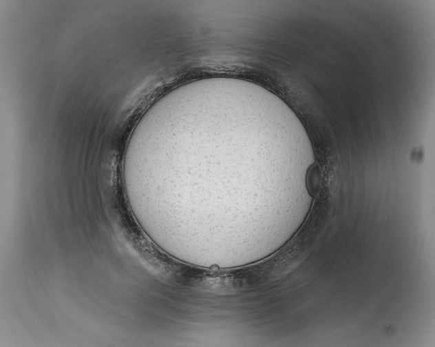 X0000113130744200909251239