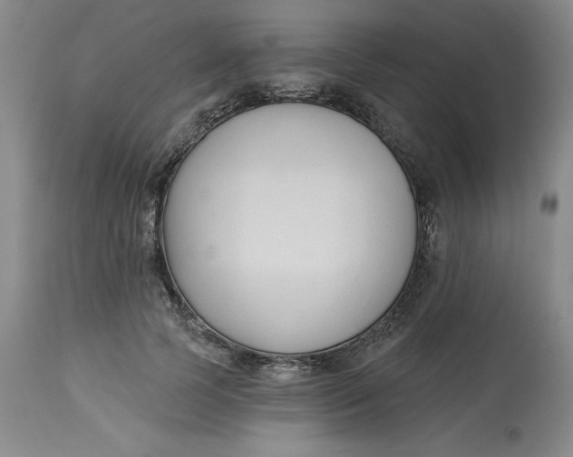 X0000113130745200909251239