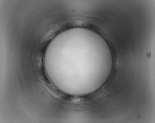 X0000113130746200909251239