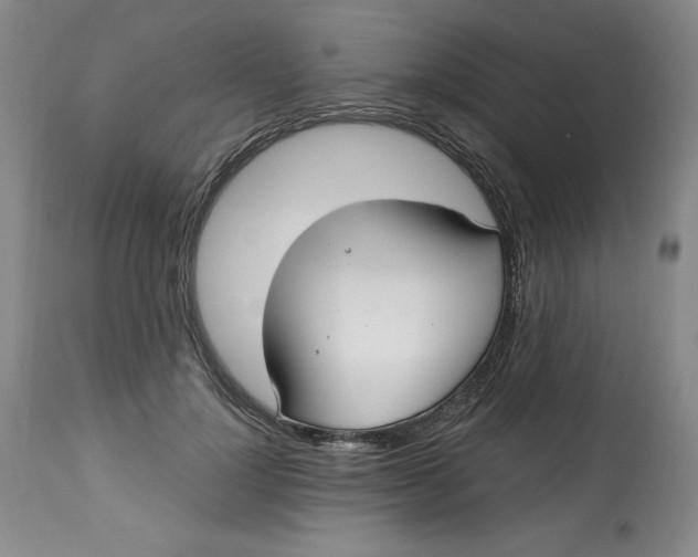 X0000113130748200909251239