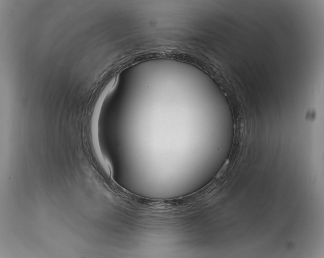 X0000113130750200909251239