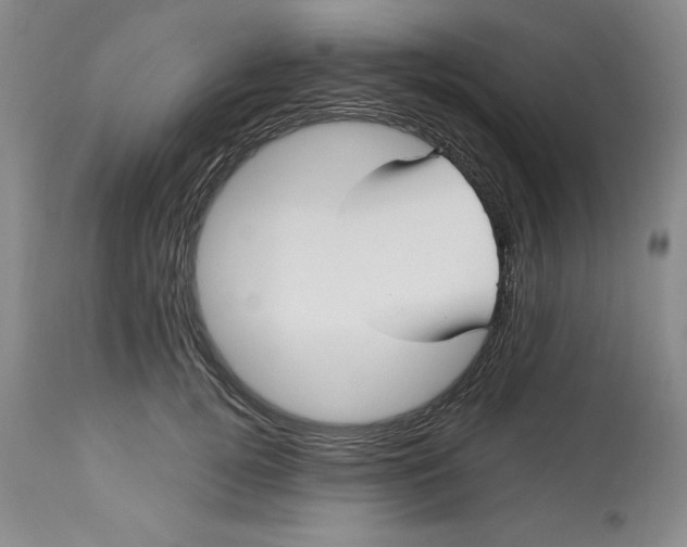 X0000113130752200909251239