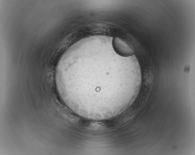 X0000113130753200909251239