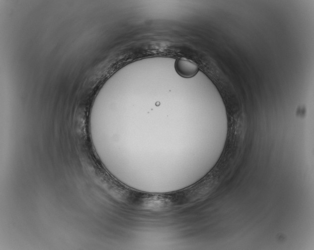 X0000113130754200909251239