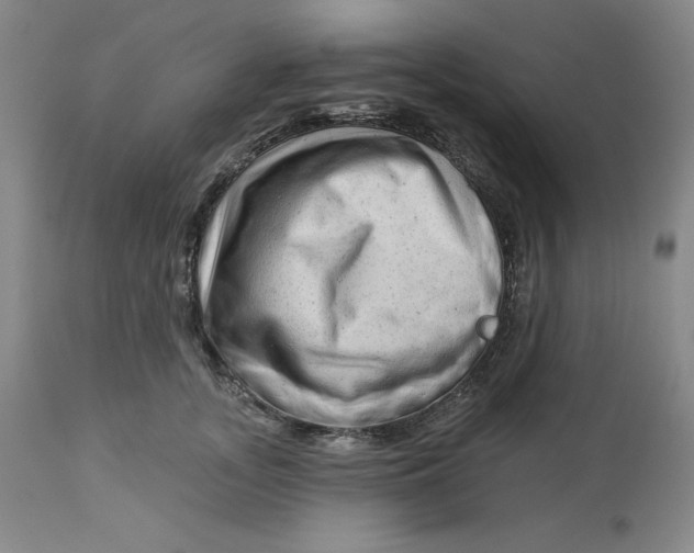 X0000113130755200909251239