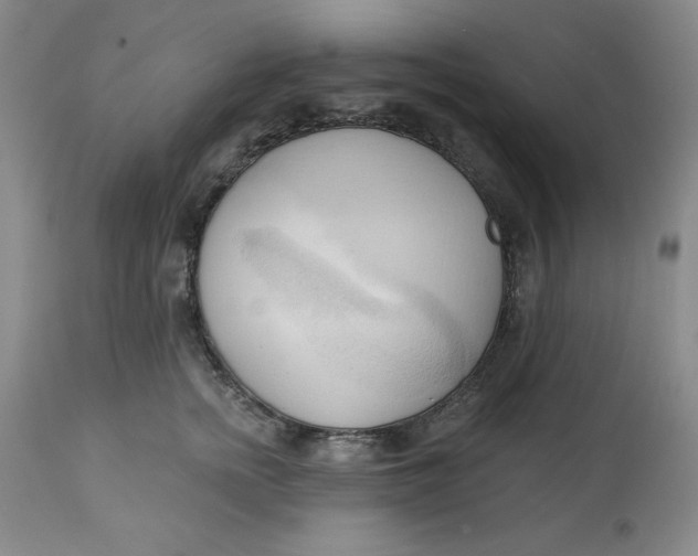 X0000113130758200909251240