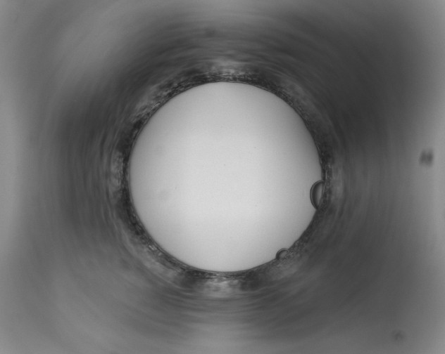 X0000113130760200909251240