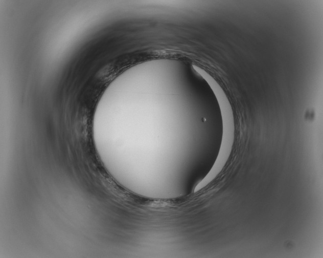 X0000113130762200909251240