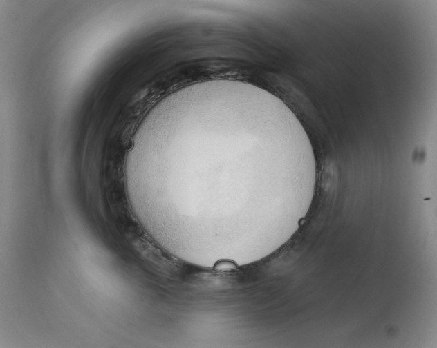 X0000113130763200909251240