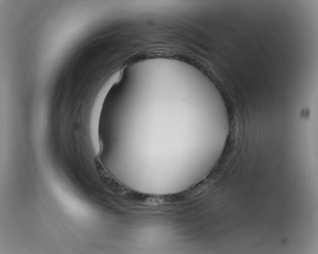 X0000113130764200909251240