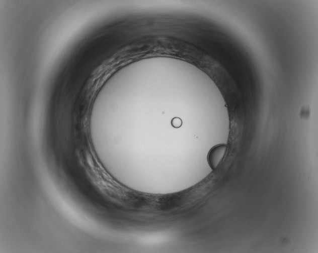 X0000113130765200909251240