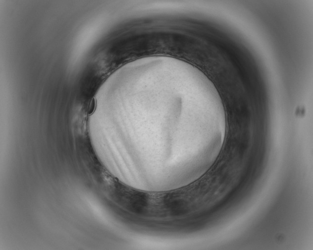 X0000113130766200909251240