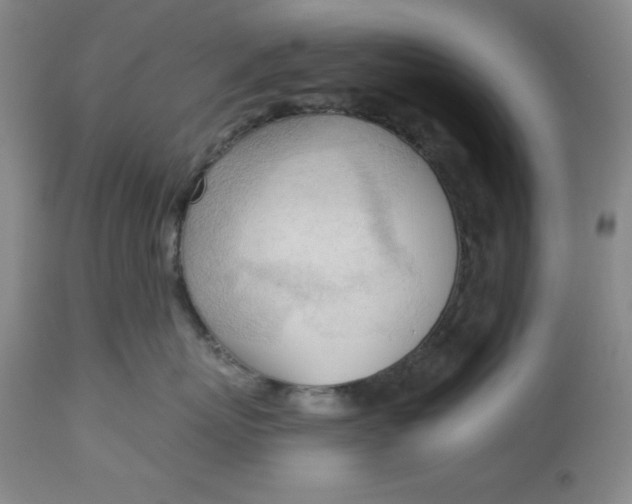 X0000113130767200909251240