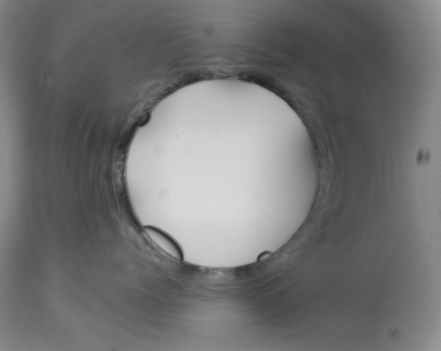 X0000113130768200909251240