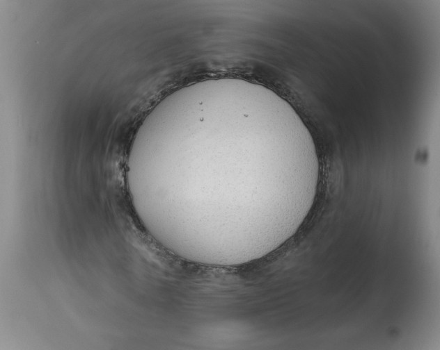 X0000113130770200909251239