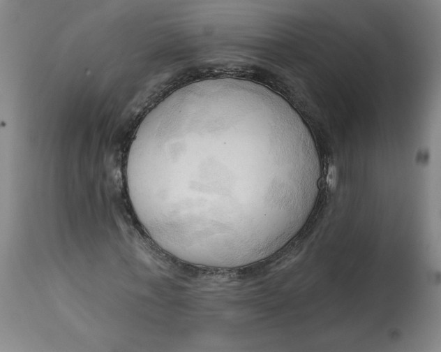 X0000113130771200909251239