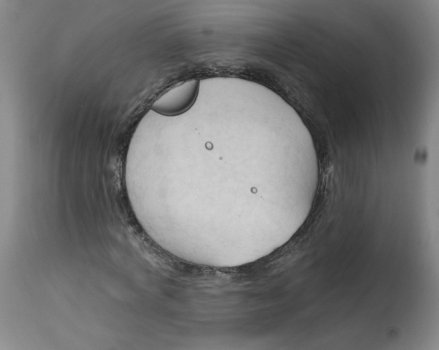 X0000113130772200909251239