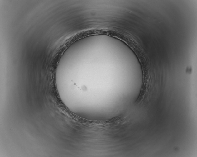 X0000113130773200909251239