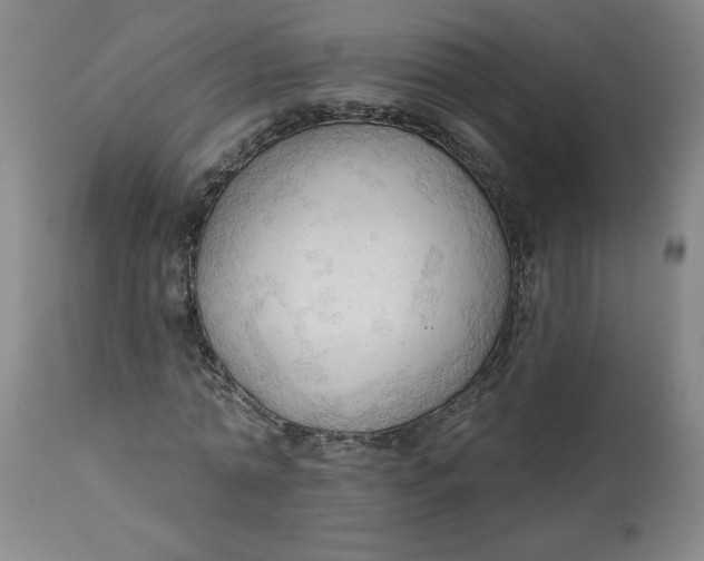 X0000113130774200909251239