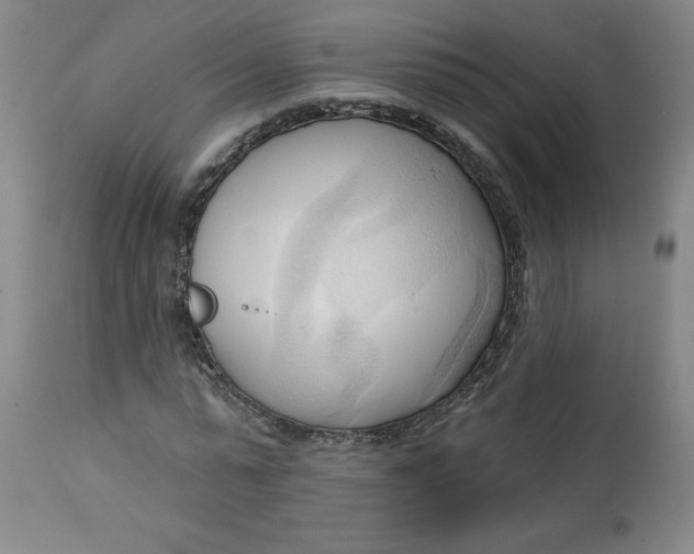 X0000113130775200909251239