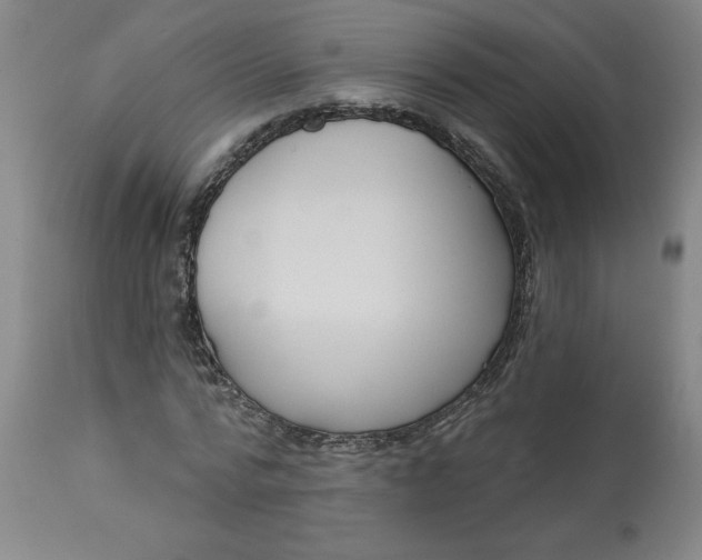 X0000113130776200909251239