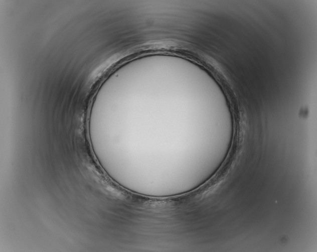 X0000113130778200909251239