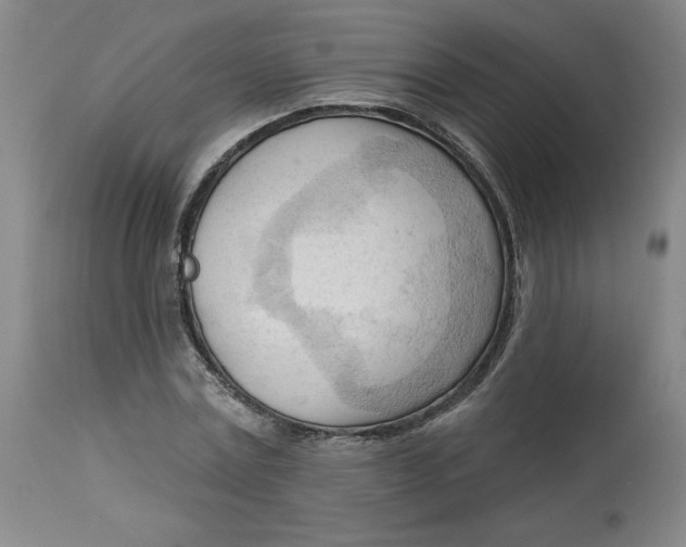 X0000113130779200909251239