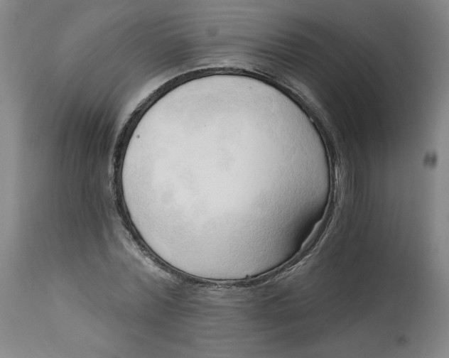 X0000113130780200909251238