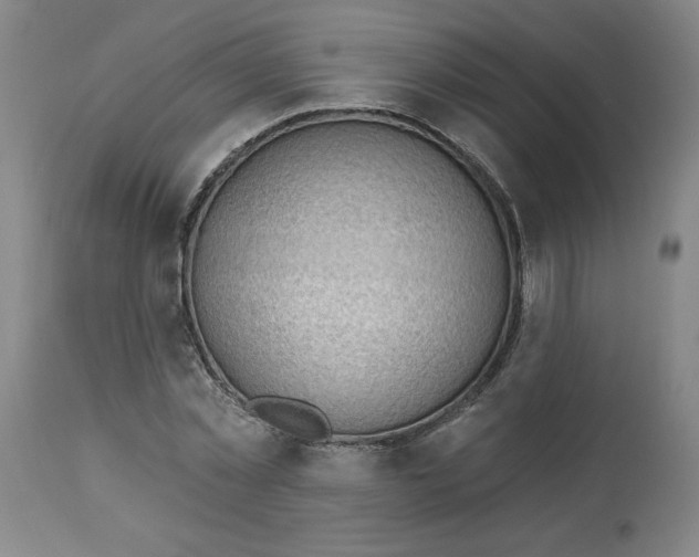 X0000113130781200909251238