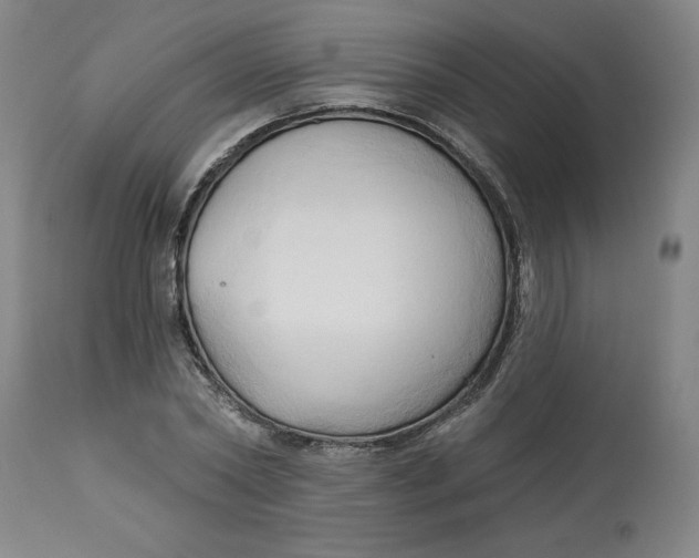 X0000113130782200909251238