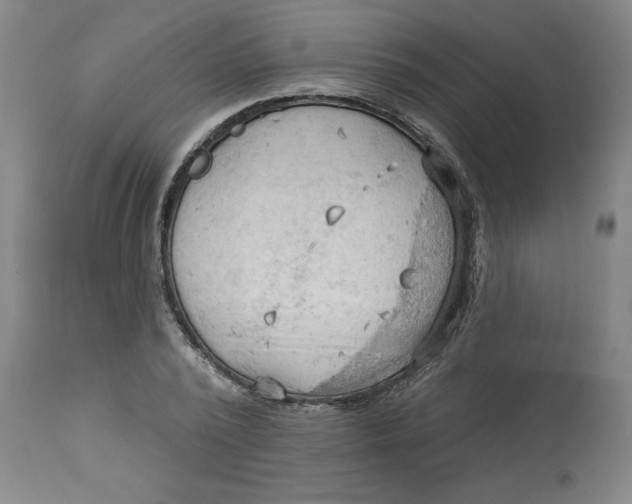 X0000113130784200909251238