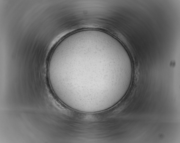 X0000113130787200909251238