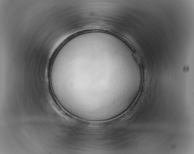 X0000113130788200909251238