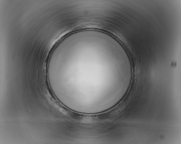 X0000113130790200909251238