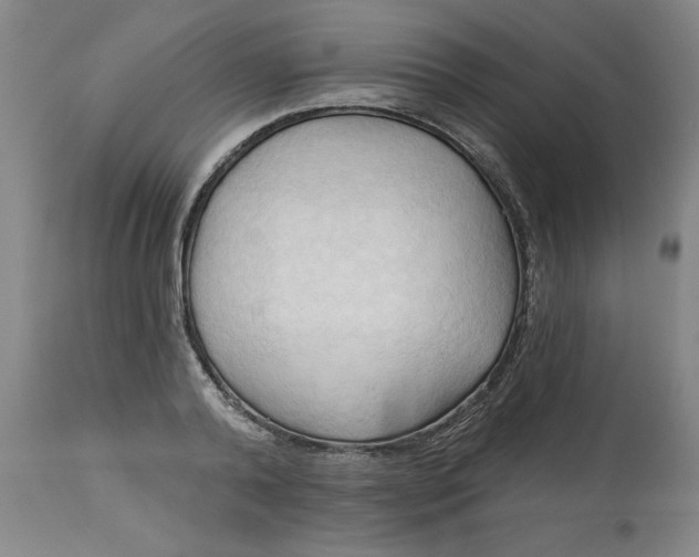 X0000113130792200909251238