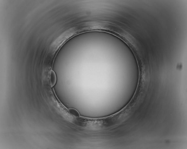 X0000113130793200909251238