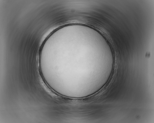 X0000113130796200909251238