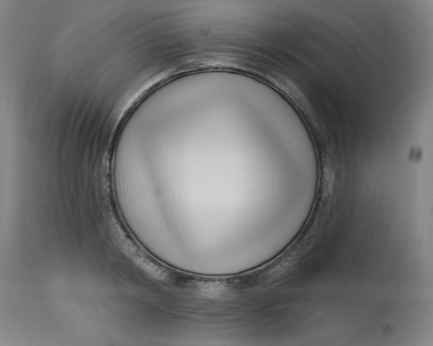 X0000113130798200909251238