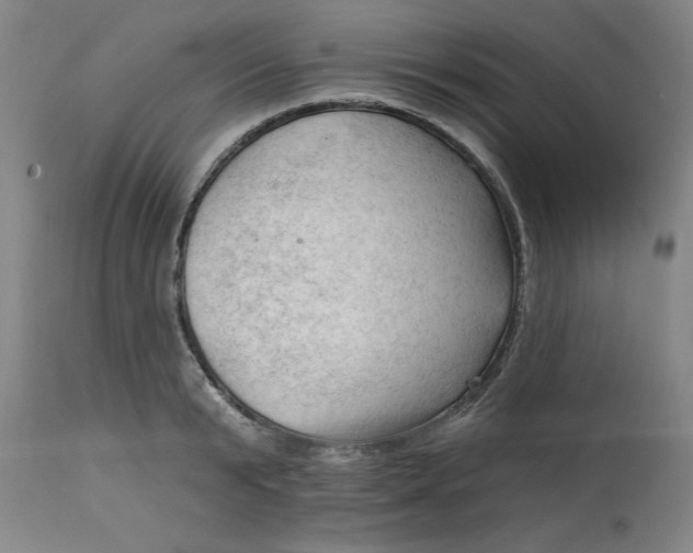 X0000113130799200909251238