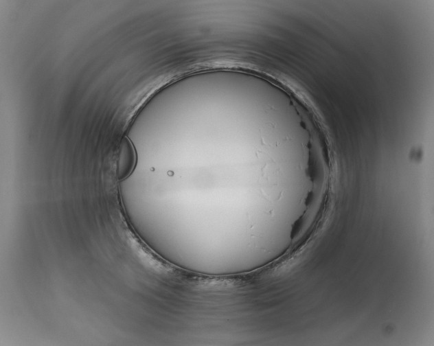 X0000113130801200909251238