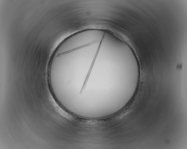 X0000113130803200909251238