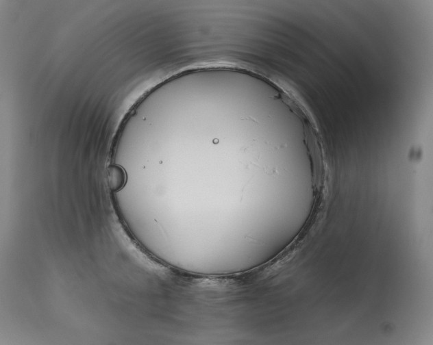 X0000113130805200909251238