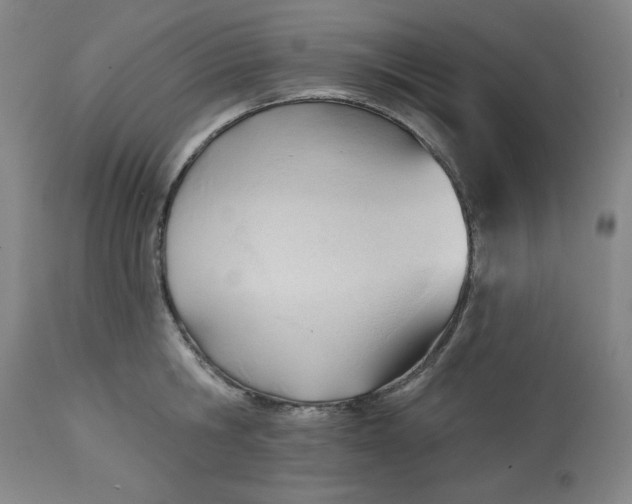 X0000113130806200909251238