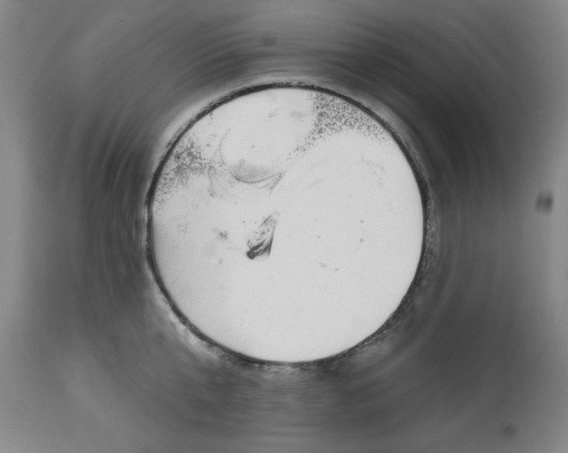 X0000113130807200909251238