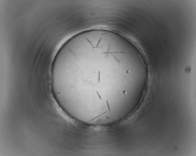 X0000113130808200909251238