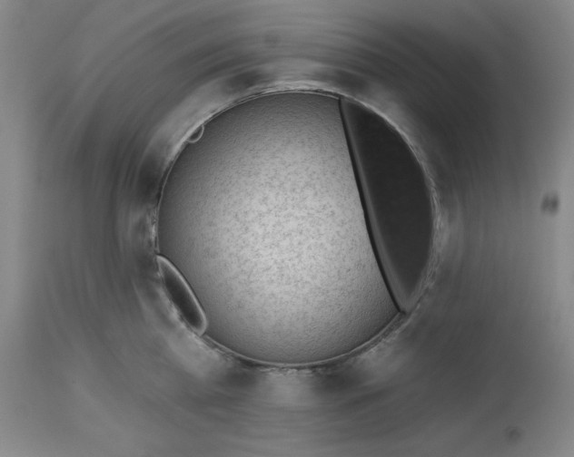 X0000113130809200909251238