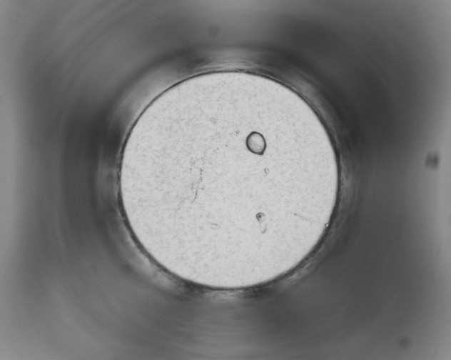 X0000113130810200909251238