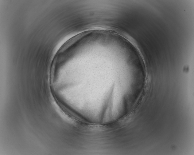 X0000113130811200909251238