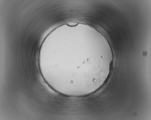 X0000113130812200909251238