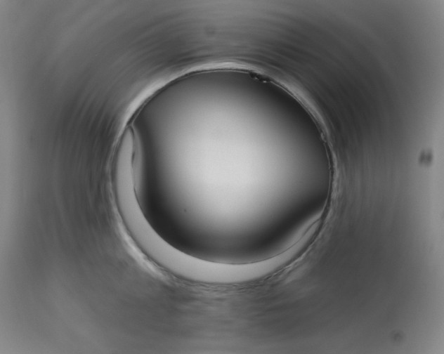 X0000113130813200909251238